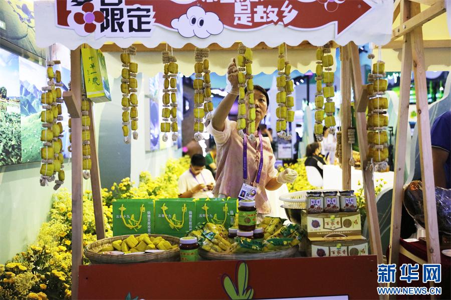 第9屆南博會(huì)｜解鎖“旅居云南”的N種“打開方式”(圖2)