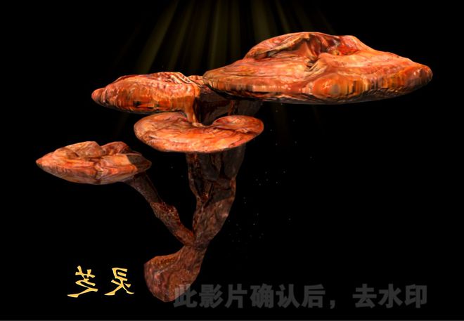 全息展示柜、幻影成像：中醫(yī)藥文化展廳建設(shè)的解決方案(圖3)