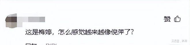 50歲梅婷南京被偶遇腰粗臉大肉泡眼老態(tài)盡顯變化太大認(rèn)不出(圖6)