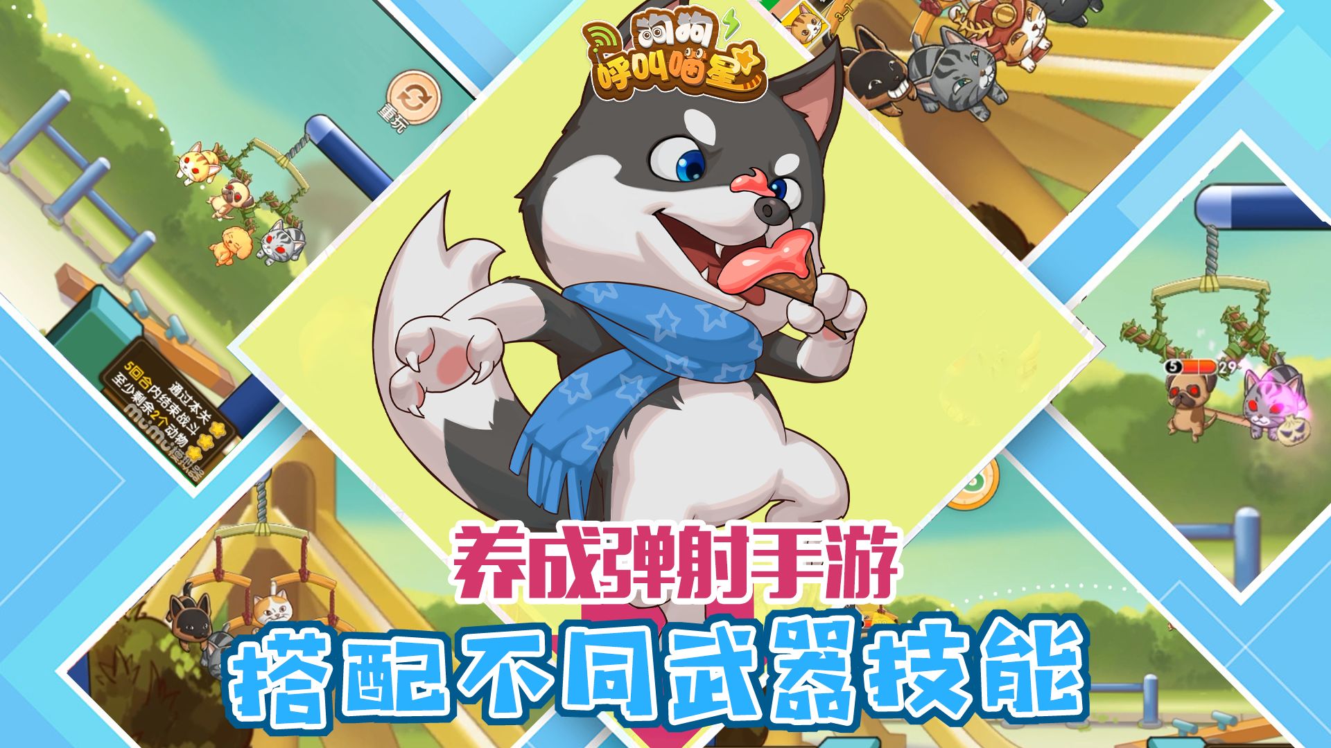 狗狗呼叫喵星測試服(圖1)